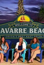 The Wise Choice Real Estate Team